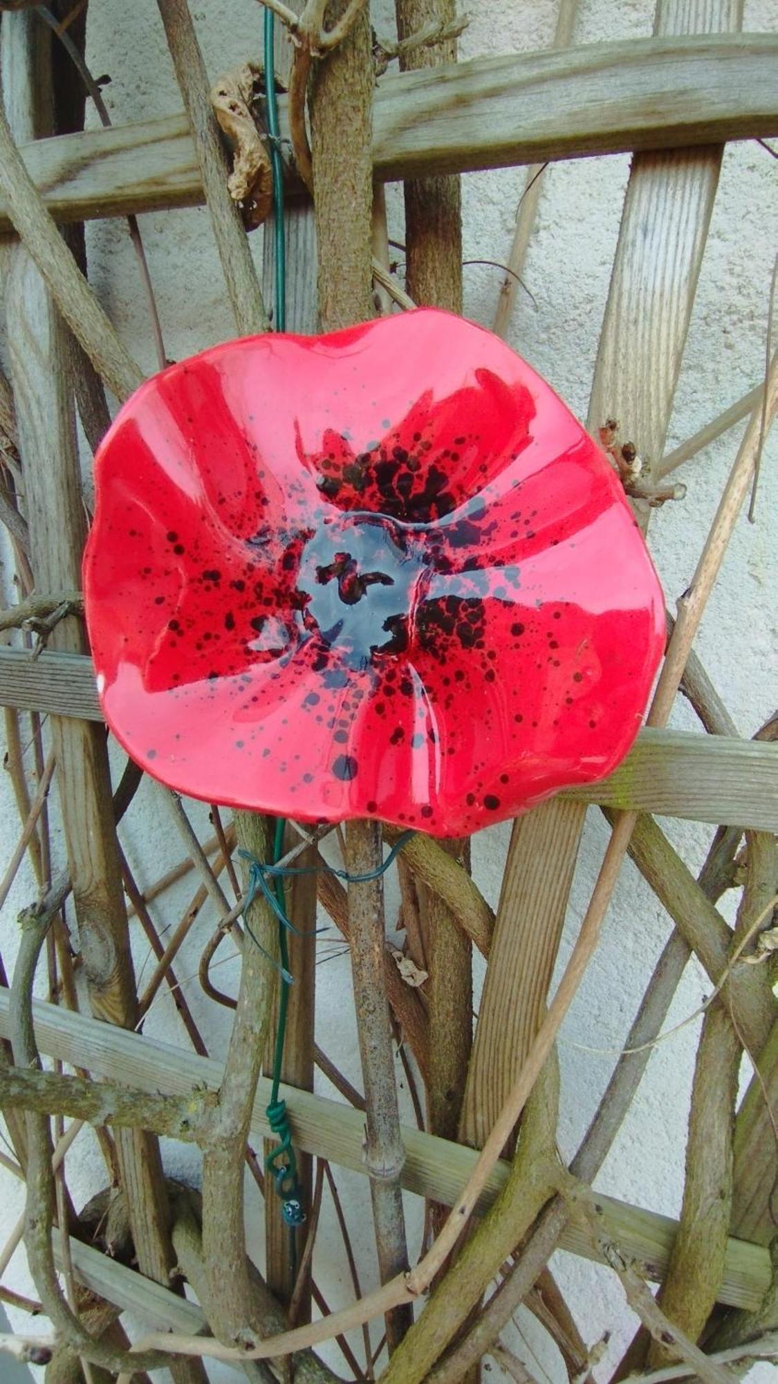 Studio Les Coquelicots Saint-Romain-sur-Cher Exteriör bild